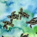 sea turtles painting small