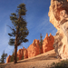 Bryce Canyon - A völgyben