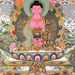 amitabha the buddha of infinite light tq71 (Medium)