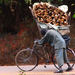 01. A Malawian Farmer (Medium)