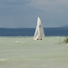 balaton2008+ 166