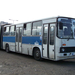 Busz JOY-220 4
