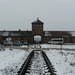 Album - 21 Auschwitz-Birkenau